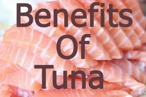 Benefits of tuna for cats