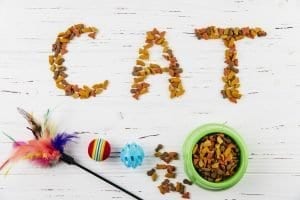 Choosing the right food for your cat
