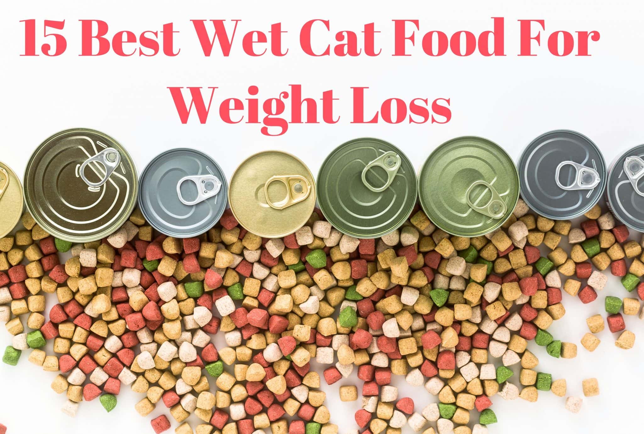 15-best-wet-cat-food-for-weight-loss-2022-proudcatowners