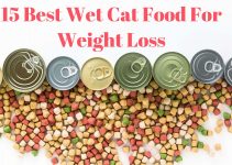 15 Best Wet Cat Food For Weight Loss (2022)